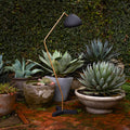 elegant halvard floor lamp